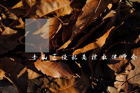 青山区侵犯商标权律师介绍