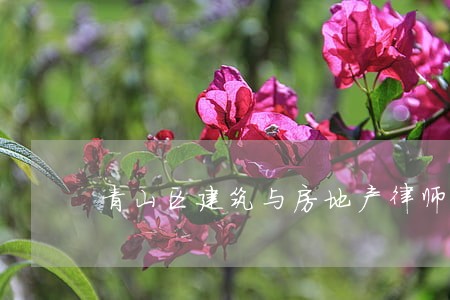 青山区建筑与房地产律师 青山区建筑与房地产律师