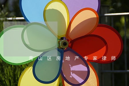 青山区房地产专家律师
