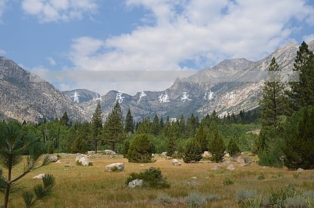青山房产继承律师 青山房产继承律师