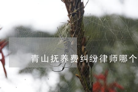 青山抚养费纠纷律师哪个比较专业 青山抚养费纠纷律师哪个比较专业