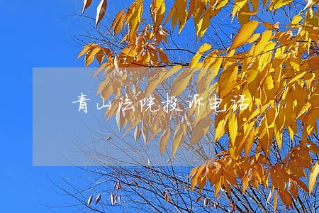 青山法院投诉电话 青山法院投诉电话