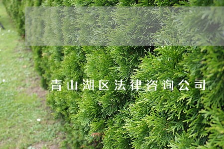 青山湖区法律咨询公司 青山湖区法律咨询公司