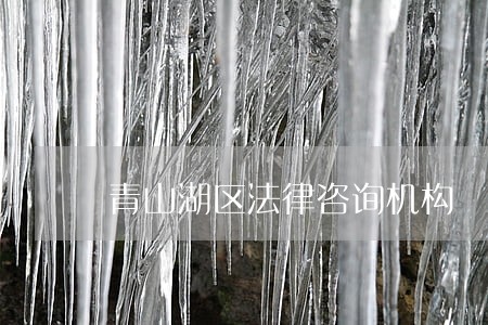 青山湖区法律咨询机构