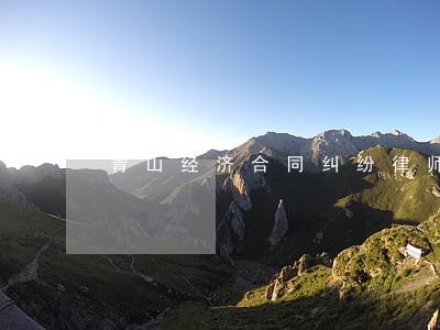 青山经济合同纠纷律师 青山经济合同纠纷律师