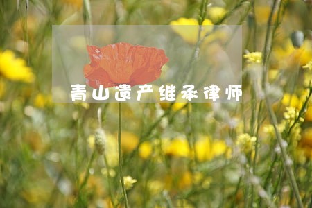 青山遗产继承律师 青山遗产继承律师