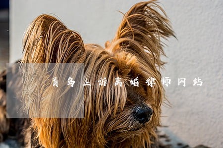 青岛上诉离婚律师网站