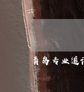青岛专业追讨工程款律师咨询 青岛专业追讨工程款律师咨询