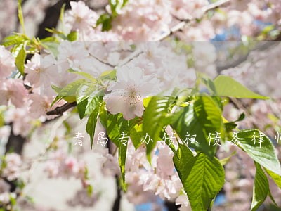 青岛专办债权债务律师收费标准 青岛专办债权债务律师收费标准