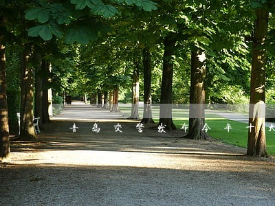 青岛交警发布今年十大违法行为 青岛交警发布今年十大违法行为
