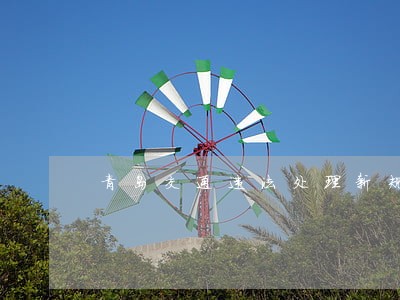 青岛交通违法处理新规 青岛交通违法处理新规