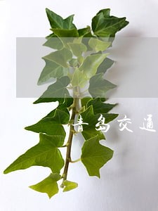 青岛交通违法是否可以网上处理 青岛交通违法是否可以网上处理