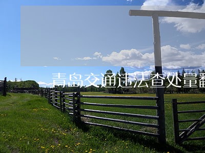 青岛交通违法查处量翻番 青岛交通违法查处量翻番