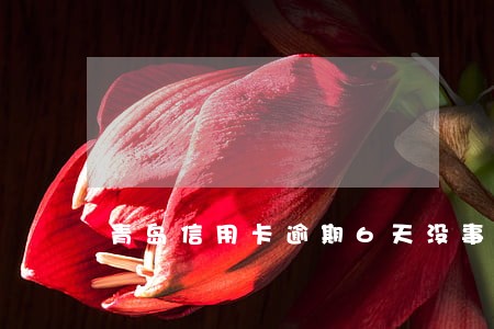 青岛信用卡逾期6天没事吧