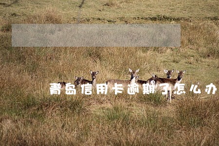 青岛信用卡逾期了怎么办 青岛信用卡逾期了怎么办