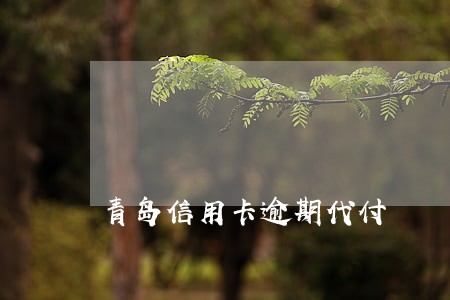 青岛信用卡逾期代付 青岛信用卡逾期代付
