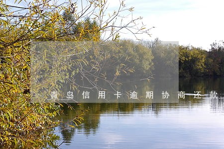 青岛信用卡逾期协商还款 青岛信用卡逾期协商还款