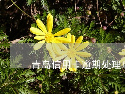 青岛信用卡逾期处理电话 青岛信用卡逾期处理电话