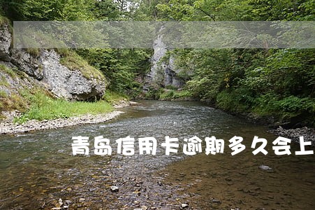 青岛信用卡逾期多久会上征信 青岛信用卡逾期多久会上征信
