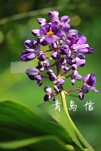 青岛信用卡逾期查账 青岛信用卡逾期查账