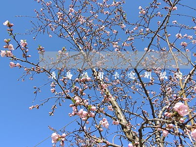青岛信用卡逾期核实 青岛信用卡逾期核实