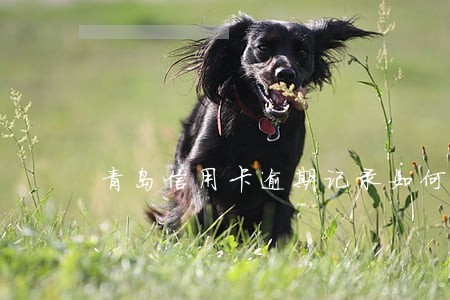 青岛信用卡逾期记录如何查询 青岛信用卡逾期记录如何查询