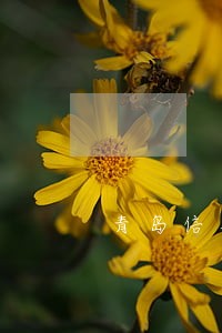 青岛信用卡逾期还款 青岛信用卡逾期还款