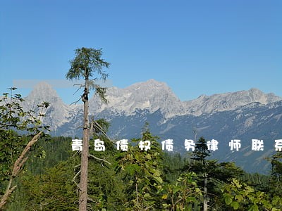 青岛债权债务律师联系方式 青岛债权债务律师联系方式