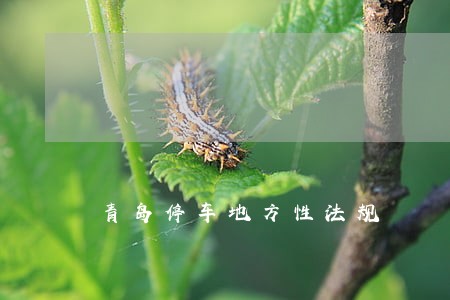 青岛停车地方性法规 青岛停车地方性法规