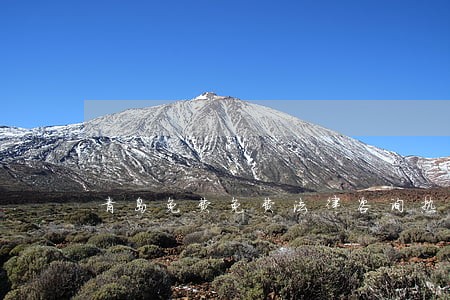 青岛免费免费法律咨询热线