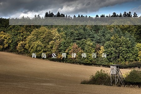 青岛免费律师咨询 青岛免费律师咨询