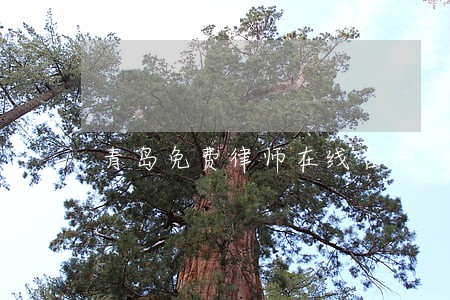 青岛免费律师在线咨询 青岛免费律师在线咨询