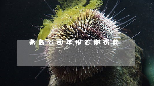 青岛公司年报逾期罚款 青岛公司年报逾期罚款