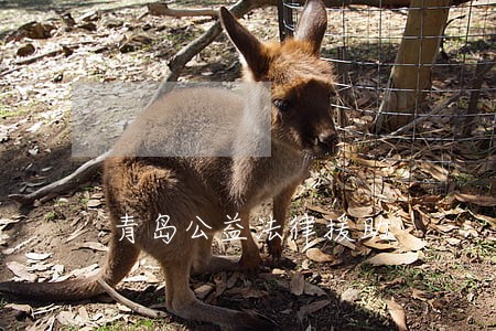 青岛公益法律援助 青岛公益法律援助