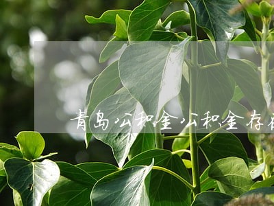 青岛公积金公积金存在逾期 青岛公积金公积金存在逾期
