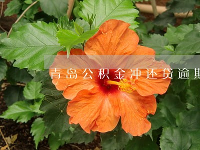 青岛公积金冲还贷逾期