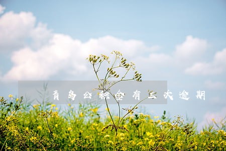 青岛公积金有三次逾期 青岛公积金有三次逾期