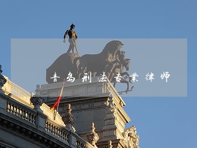 青岛刑法专业律师