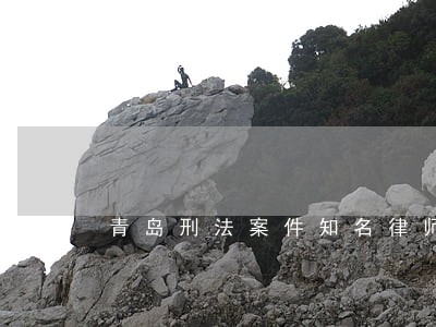 青岛刑法案件知名律师