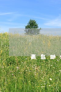 青岛助学贷款逾期修复公司 青岛助学贷款逾期修复公司