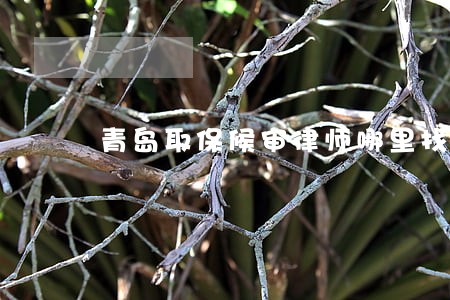 青岛取保候审律师哪里找 青岛取保候审律师哪里找