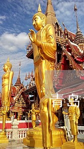 青岛司法局投诉电话 青岛司法局投诉电话