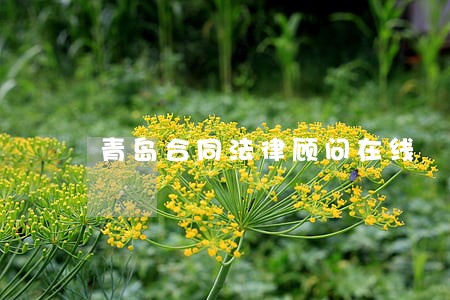 青岛合同法律顾问在线 青岛合同法律顾问在线