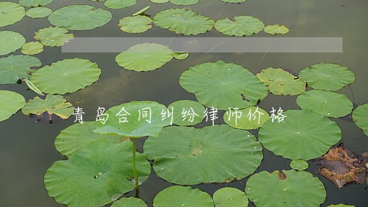 青岛合同纠纷律师价格
