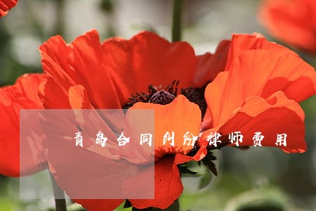 青岛合同纠纷律师费用 青岛合同纠纷律师费用