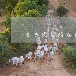 青岛周边婚姻律师排名 青岛周边婚姻律师排名