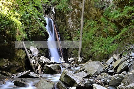 青岛国税逾期 青岛国税逾期