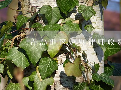 青岛地区婚姻律师收费 青岛地区婚姻律师收费