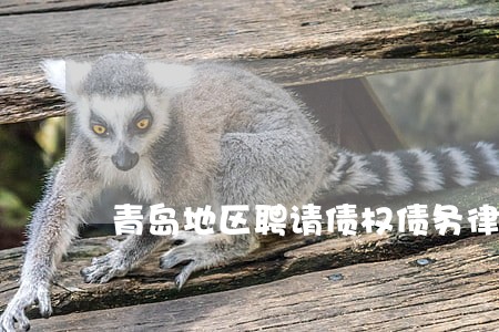 青岛地区聘请债权债务律师哪里找 青岛地区聘请债权债务律师哪里找