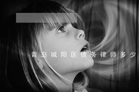 青岛城阳区债务律师多少钱 青岛城阳区债务律师多少钱
